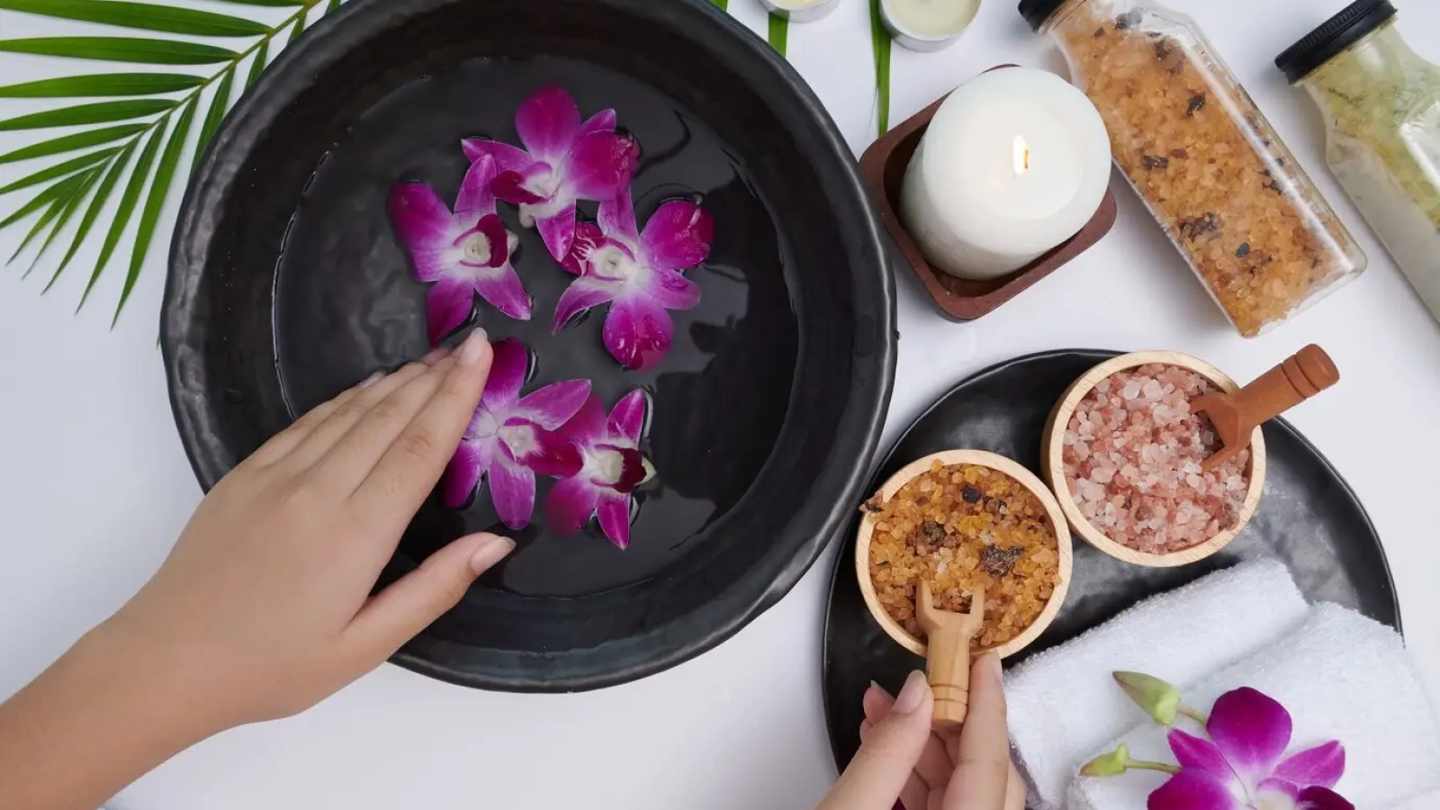 concordia spa guadalajara zapopan